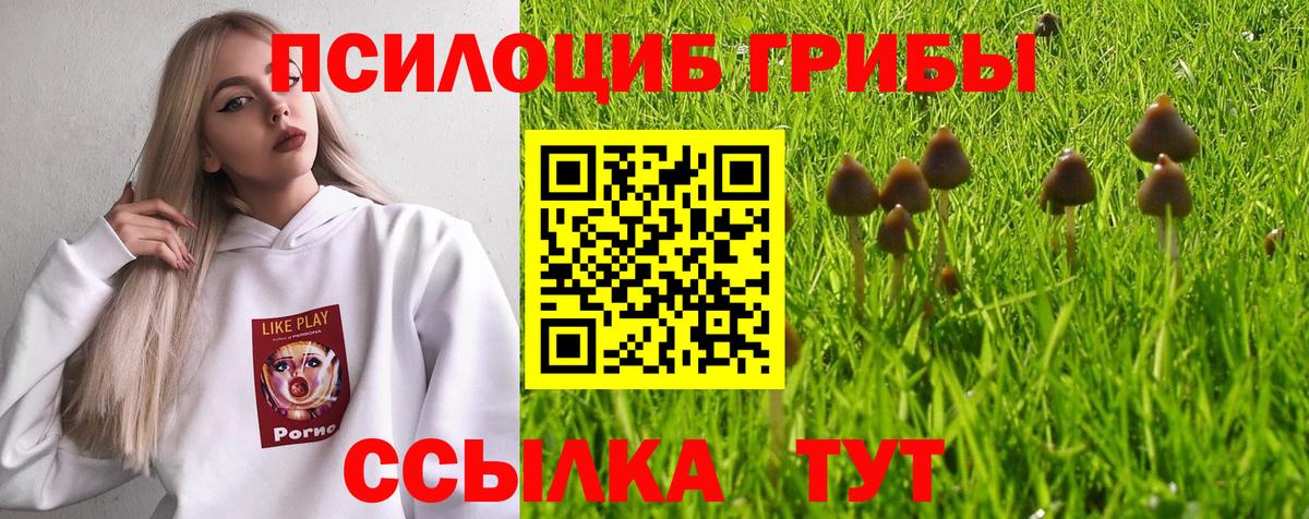 Псилоцибиновые грибы прущие грибы  Вход с VPN  где можно купить   Галлюциногенные грибы Cubensis  Михайловск 